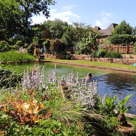 Maison De Charme, Piscine Naturelle Dordogne Perigord Prats-du-Périgord 外观 照片