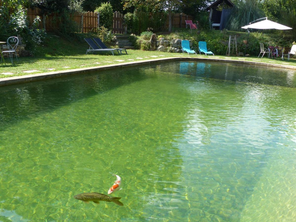 Maison De Charme, Piscine Naturelle Dordogne Perigord Prats-du-Périgord 外观 照片